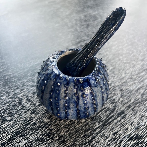 Other - Handmade Sea Urchin pottery sugar bowl and spoon